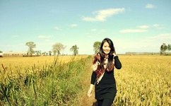 二人转正戏大全